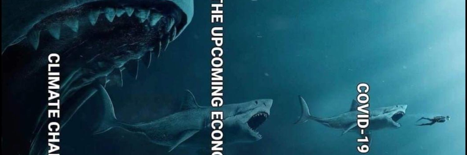 Liam McGlinchey banner