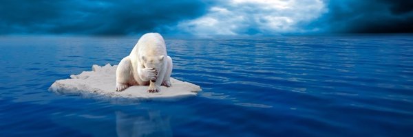 jngraphs Profile Banner