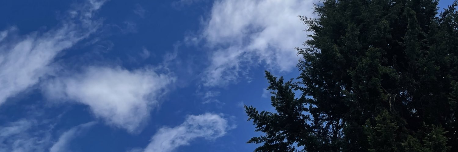 Squirreljuu's profile banner image