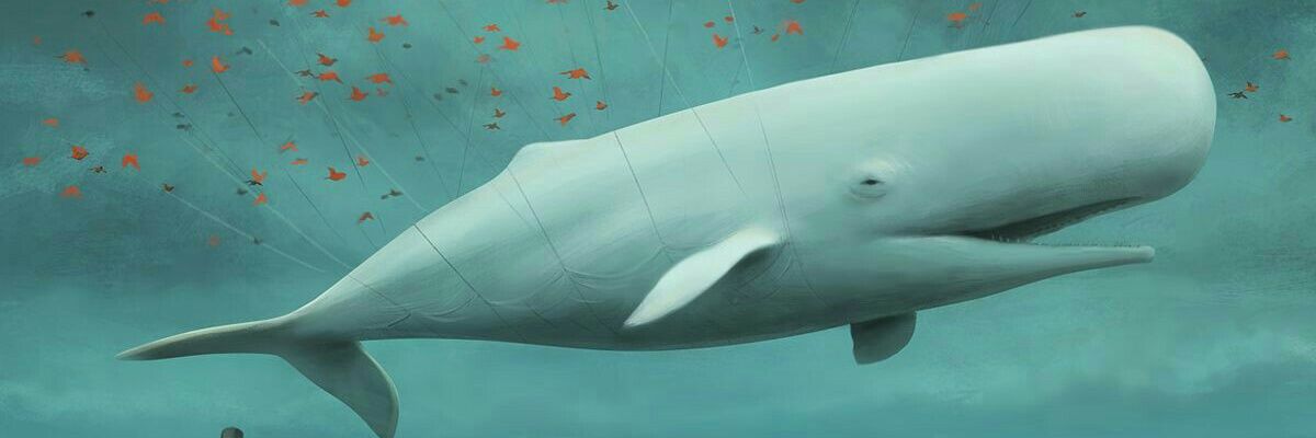 jldelatorrer's profile banner image