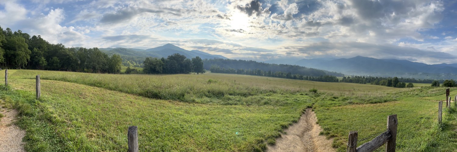 Sharon Sarsen banner