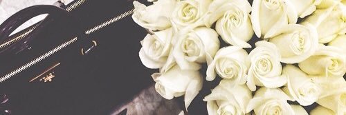SummerPardo's profile banner image
