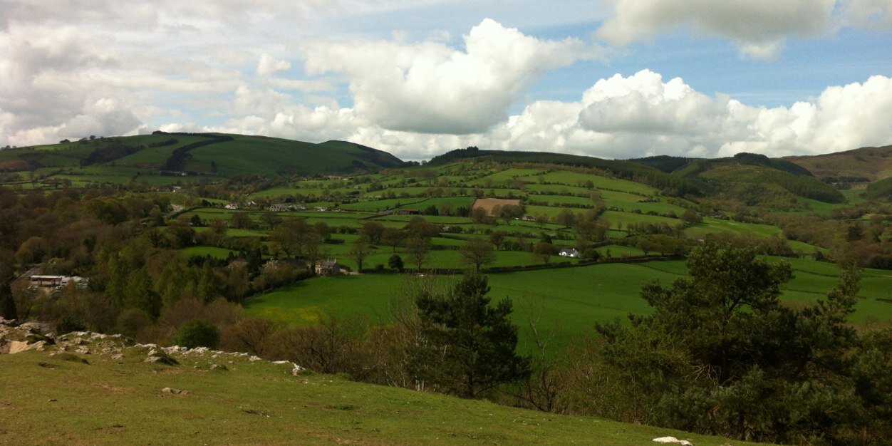 Rebecca Jones banner