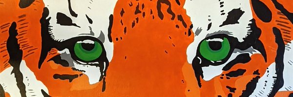 hthtigers Profile Banner