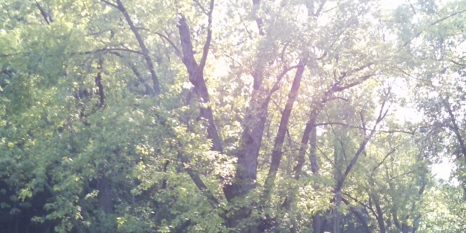 MEmerson4's profile banner image