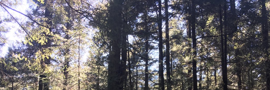 JRALF911's profile banner image