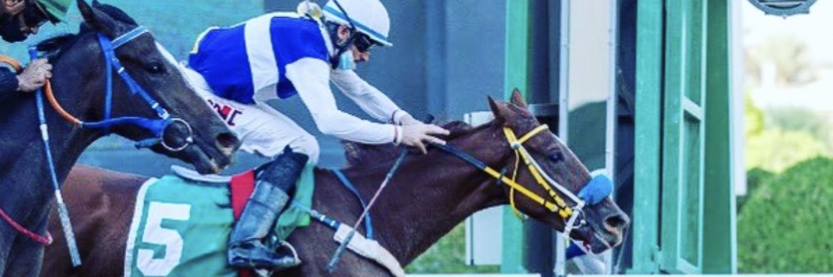 sultan al otaibi 🇸🇦 banner