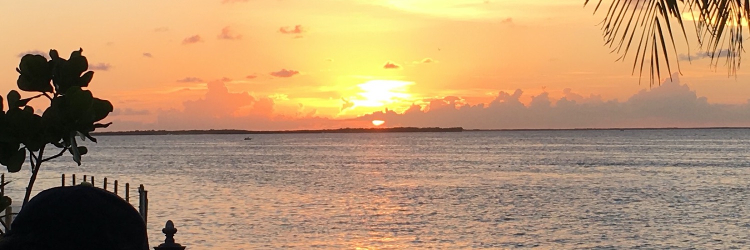 YoBasLo's profile banner image