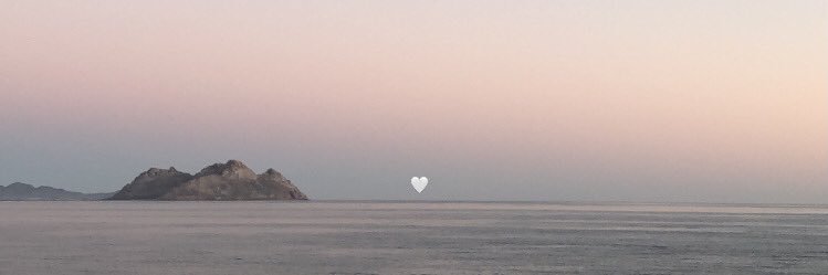 sofia98u's profile banner image