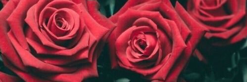 daniela_H13's profile banner image