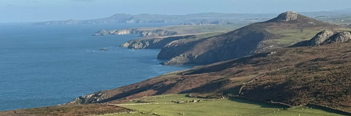 Cat 🏴󠁧󠁢󠁷󠁬󠁳󠁿 banner