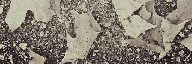 kkOttesen's profile banner image