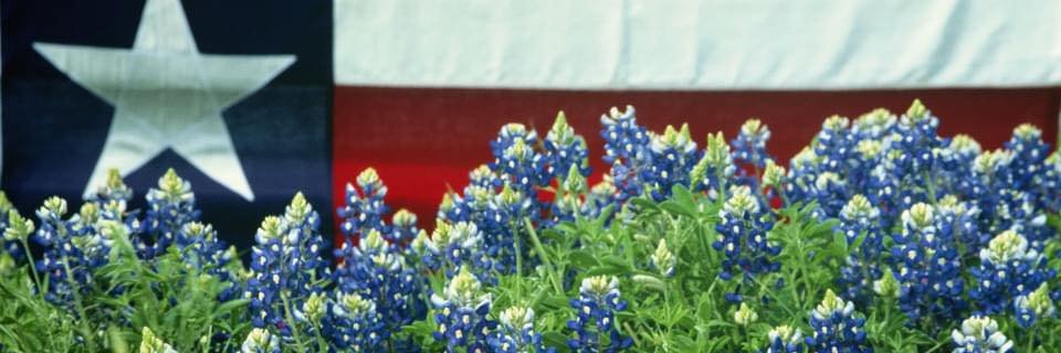 Lsteenis's profile banner image
