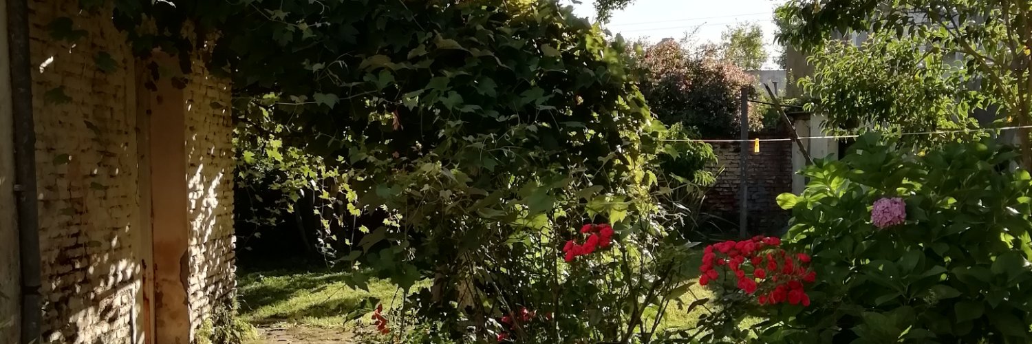 selvaespondabur's profile banner image