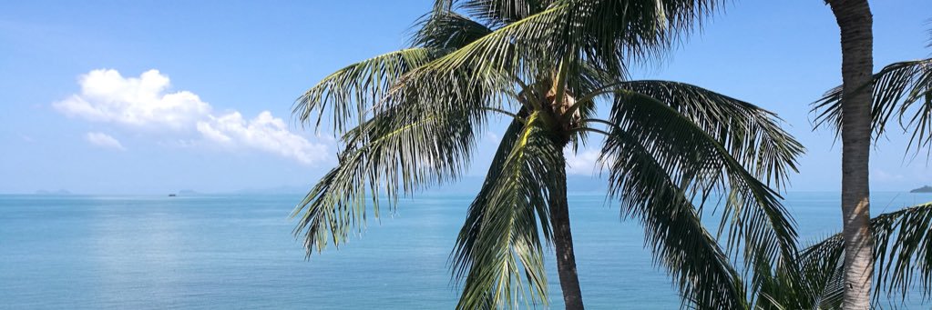 G_Cartier's profile banner image