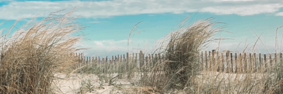 SamRichards33's profile banner image