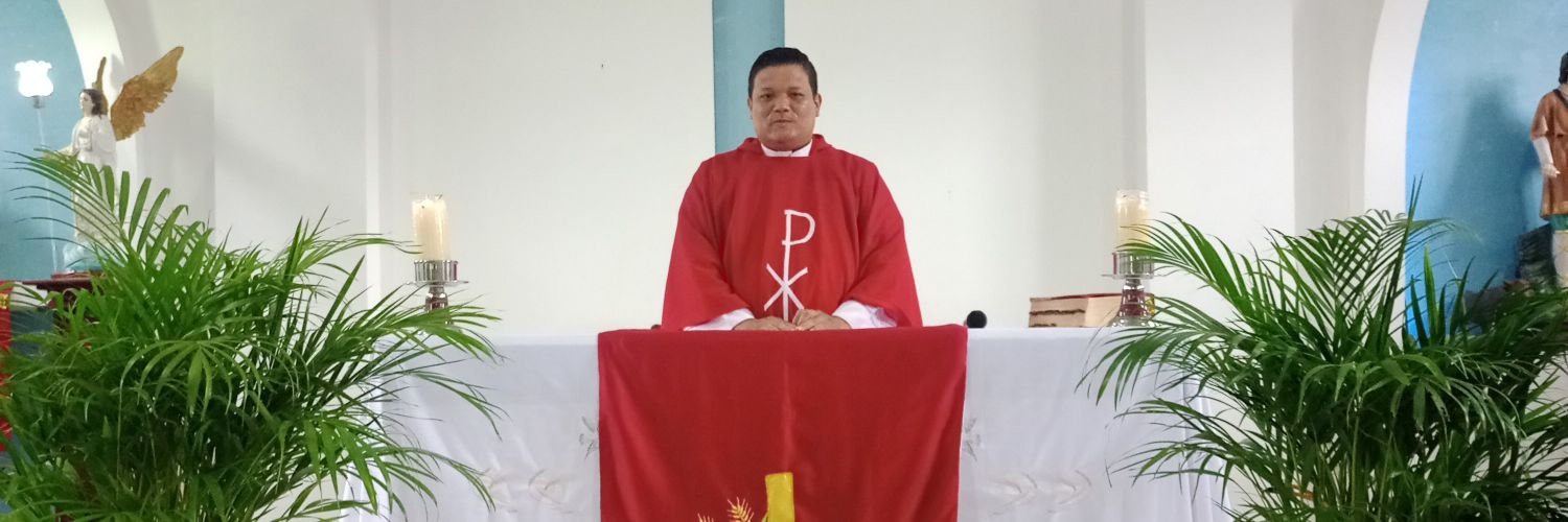 pasilava91's profile banner image