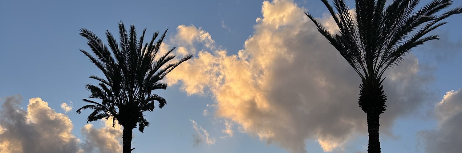 luffmendez_'s profile banner image