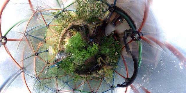eigen tuin in huis banner