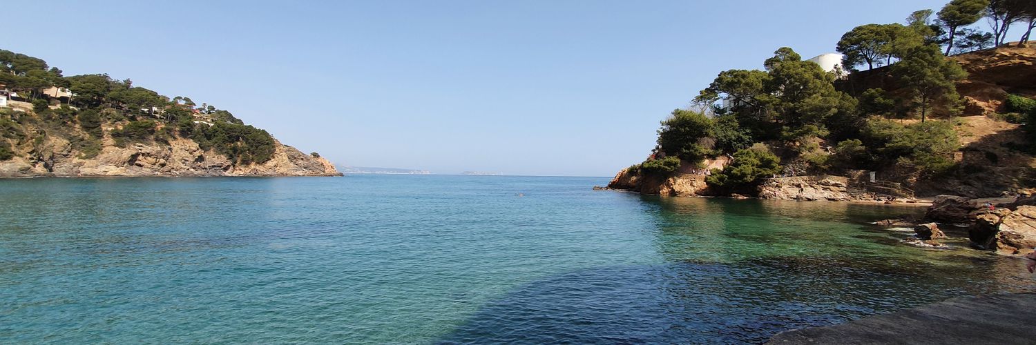 Shadows_Sea's profile banner image