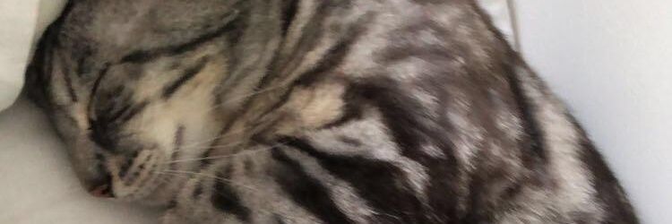 JacobBrack's profile banner image