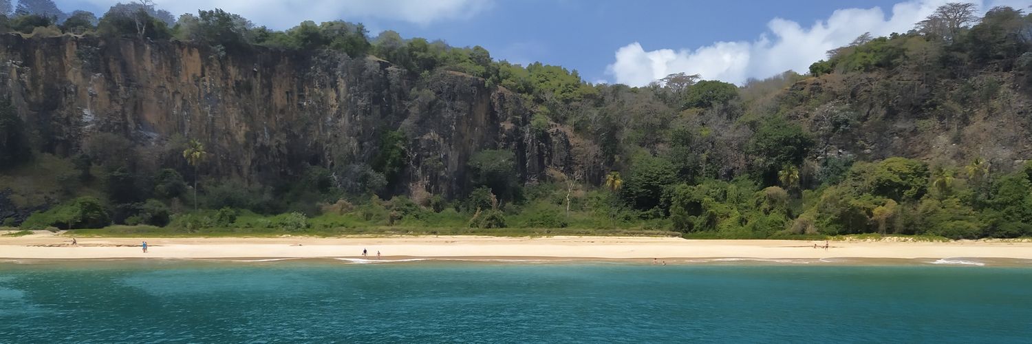 Daniel Tavares banner