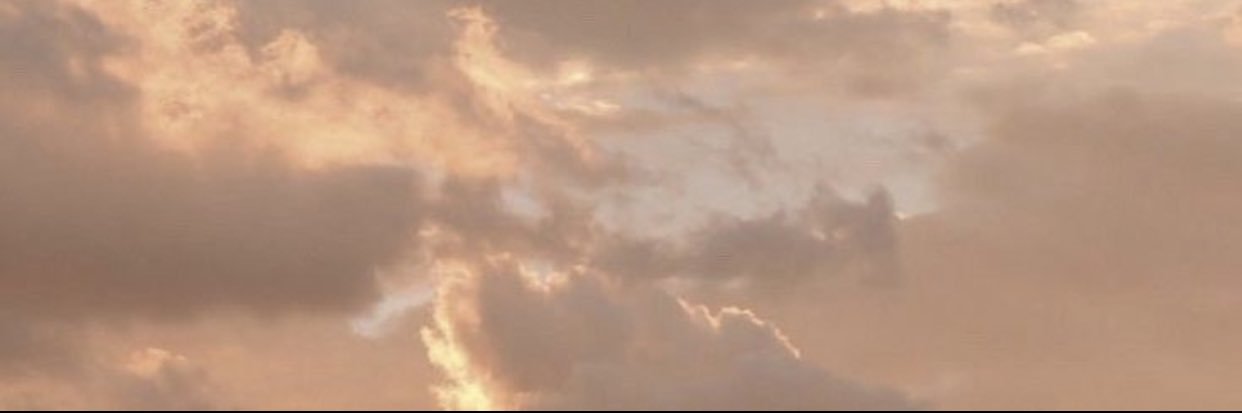 bloomin_britt's profile banner image
