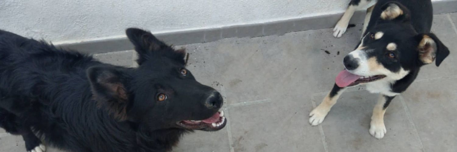 Juankius14's profile banner image
