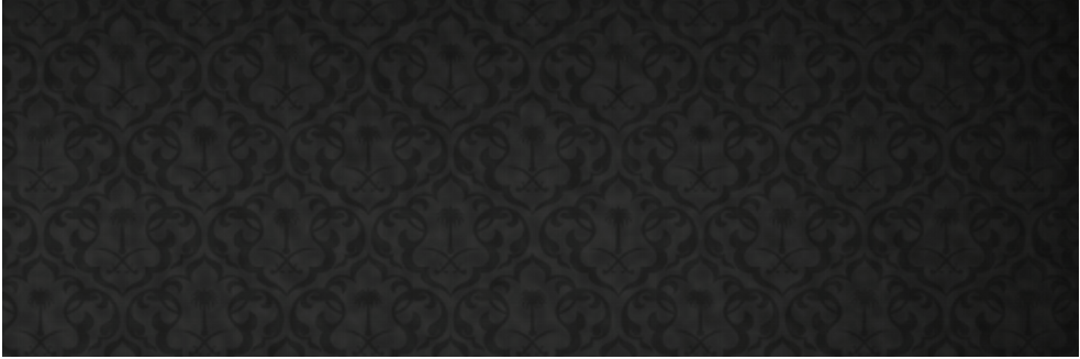 bmamri's profile banner image