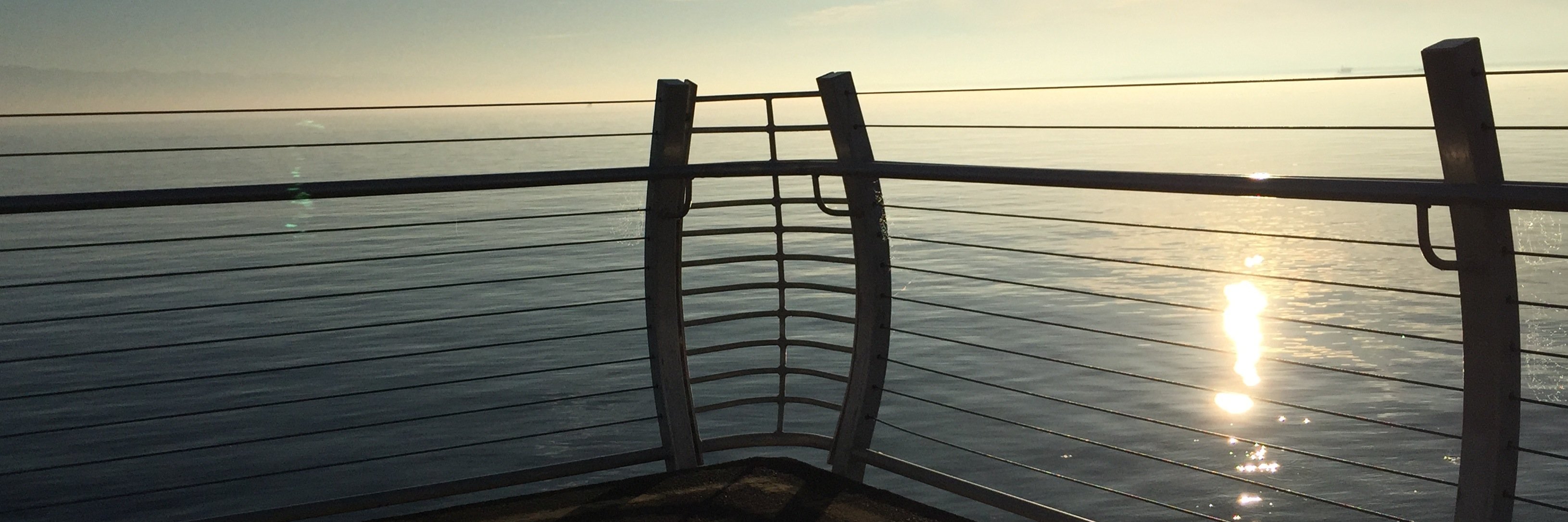 The_EmptyNest's profile banner image