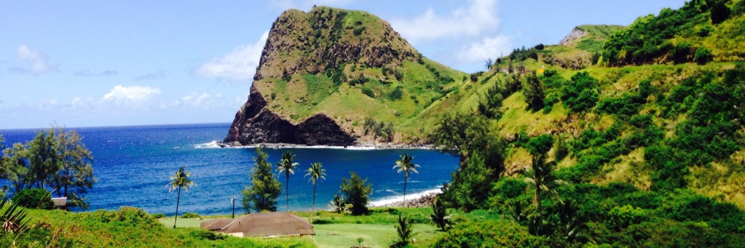 Melanie Stopfer banner