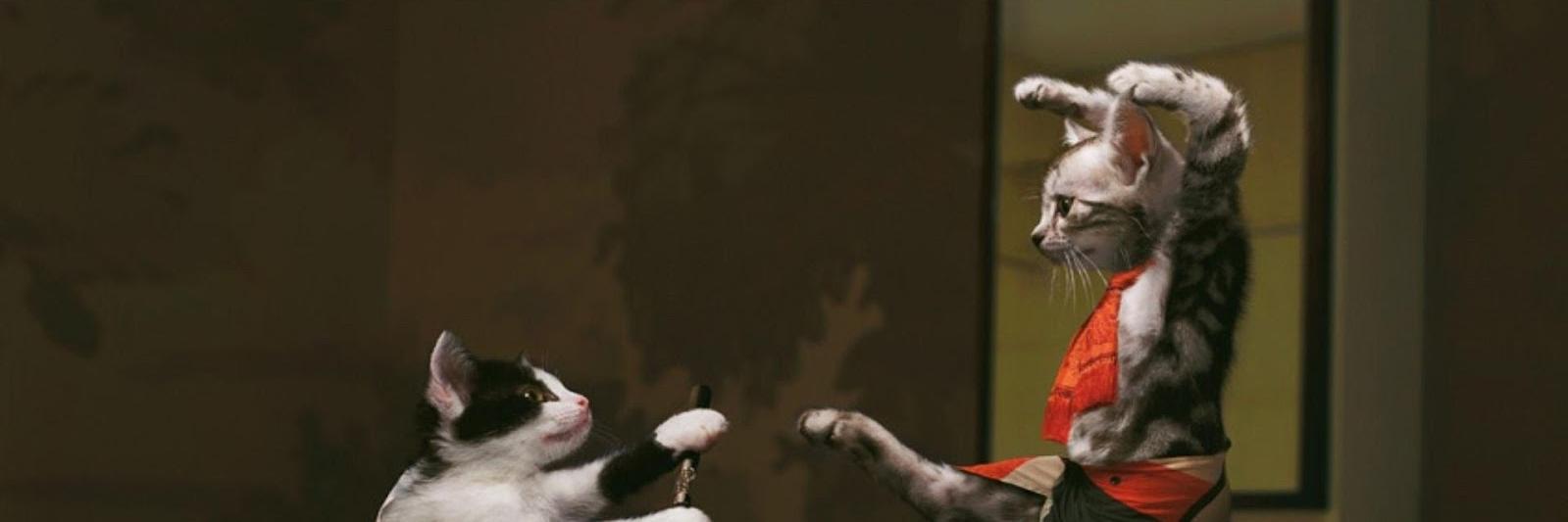 Das_Komedy's profile banner image