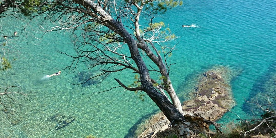 Javi (indignado) banner