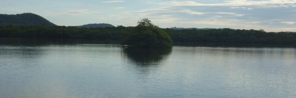 Calero92Omar's profile banner image