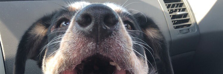 SethFowlerr's profile banner image