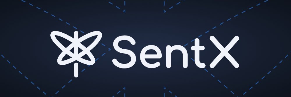 Patrícia C. - SentX Co-Founder / H Queens banner