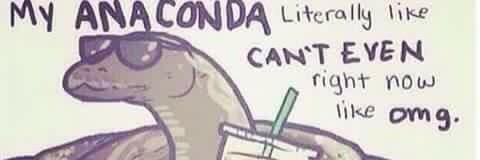 thisisrossana's profile banner image