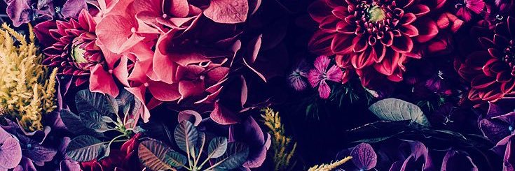 LebronJamie_B's profile banner image
