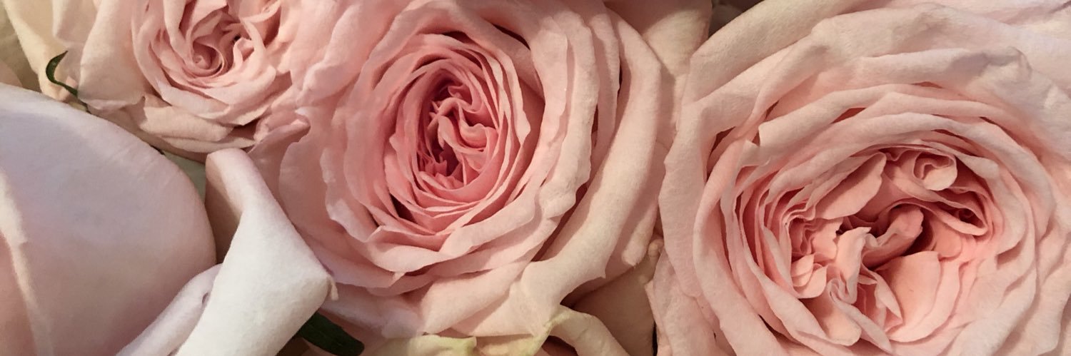 gin__win's profile banner image