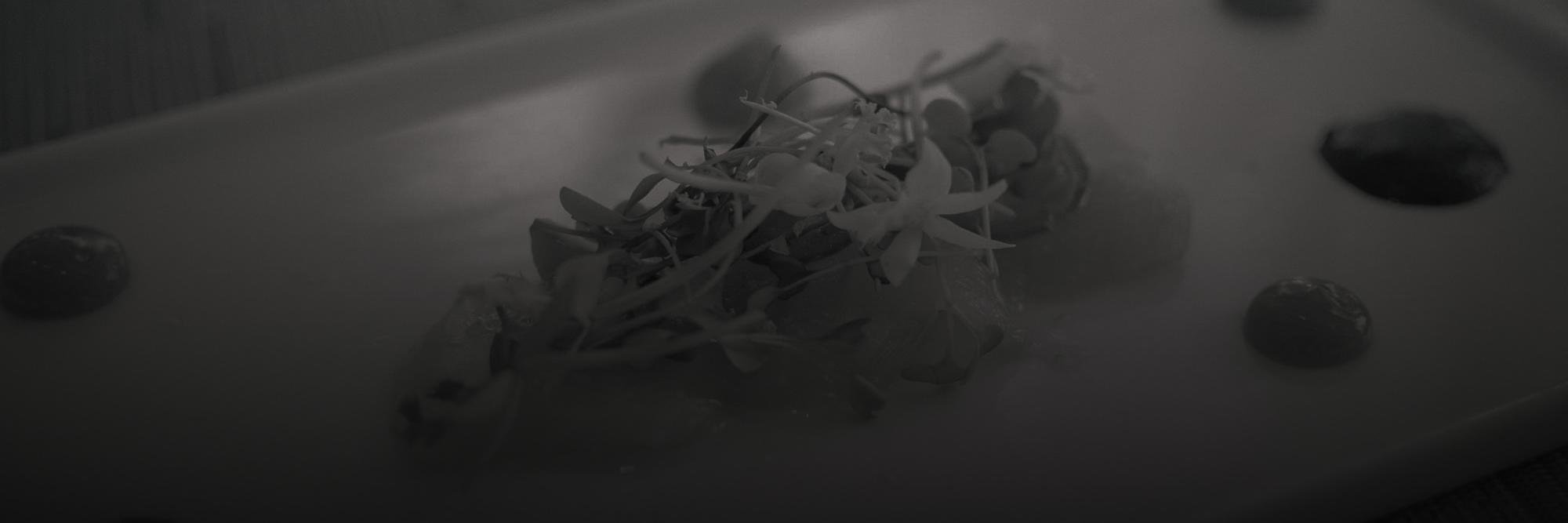 EGCSL's profile banner image
