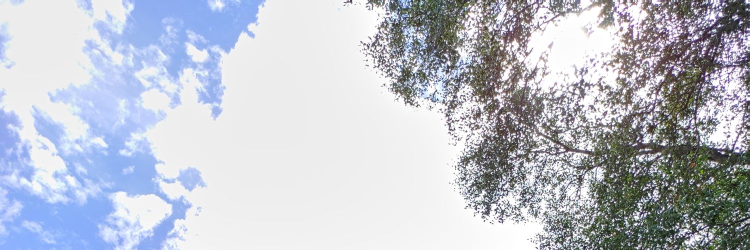 felipeque33's profile banner image