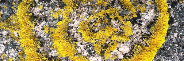 jessogden Profile Banner