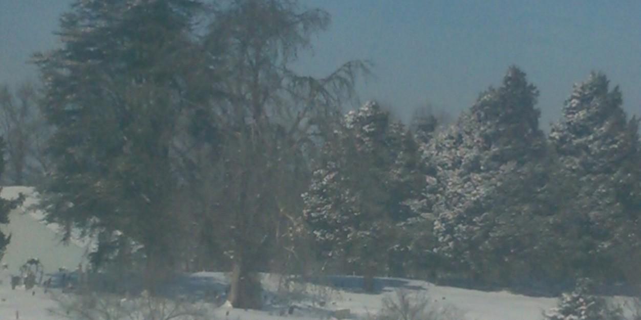 ruth_jeffries's profile banner image