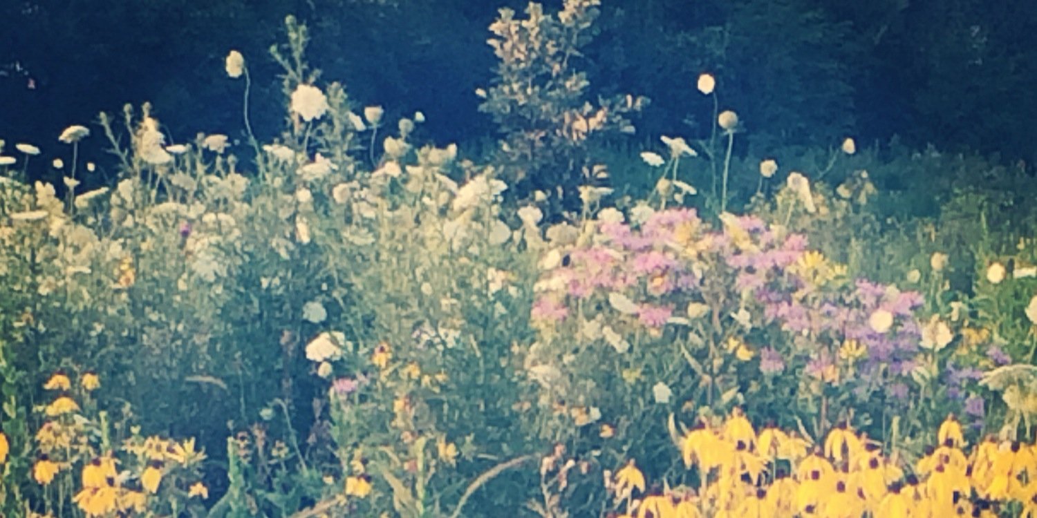 kellsbells662's profile banner image