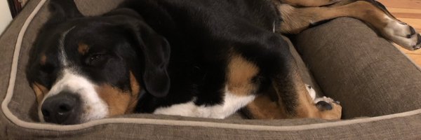 weinerbass Profile Banner