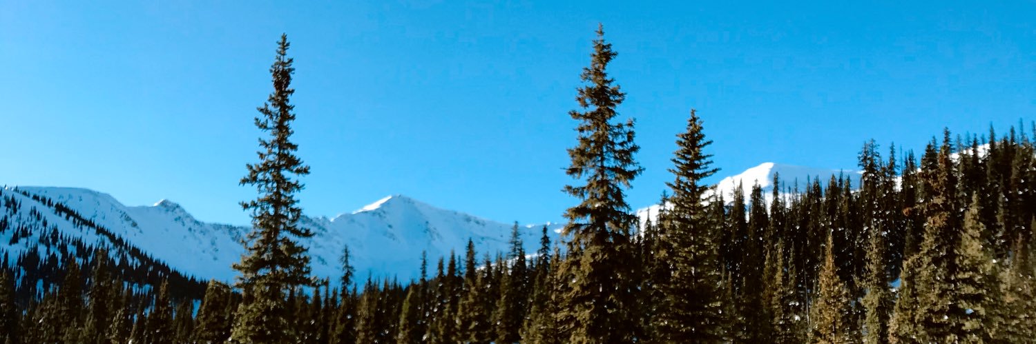 kdansel's profile banner image