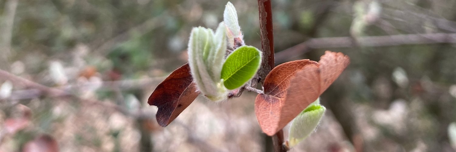 Molly Bingham banner