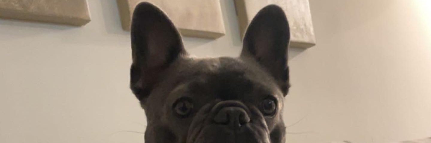 Tyler_Poly's profile banner image