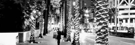 Downtown Roi 🪶 banner