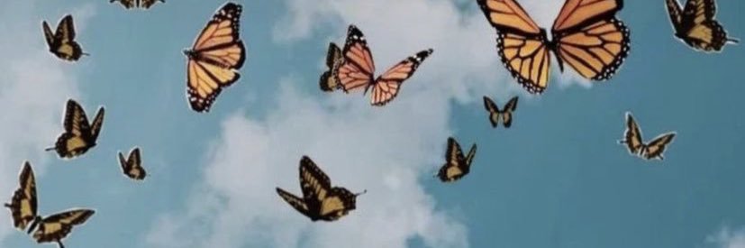jaebird__'s profile banner image
